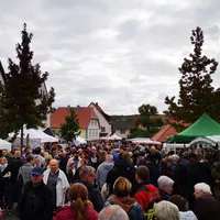 2022-10-03_143638.jpg