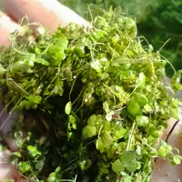 WhatsApp Image 2026-09-16 at 15.47.40b.jpeg